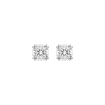 NEW Boucles d'oreilles - Moissanite