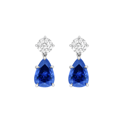 The Classics Earrings Duo