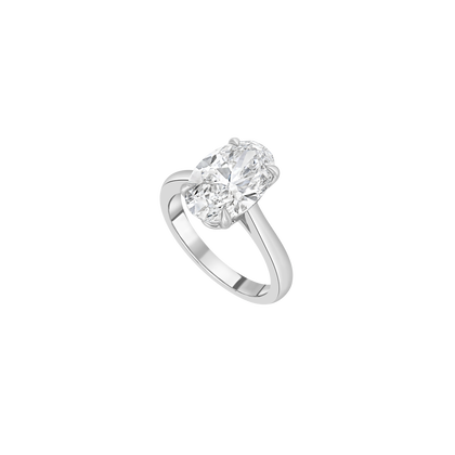 Burma Fine Jewelry Ring - White Gold