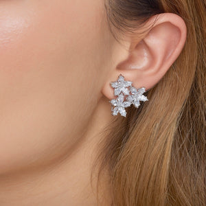 Boucles d'oreilles - Les Parures
