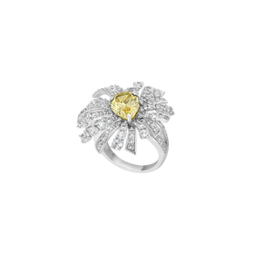 NEW Bague Opéra - Argent Rhodié