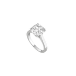 Solitaire - Argent rhodié